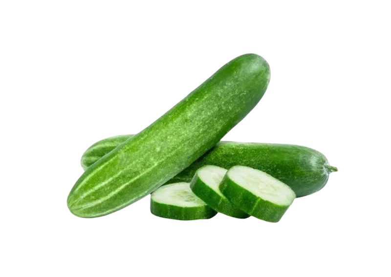 Fresh cucumber